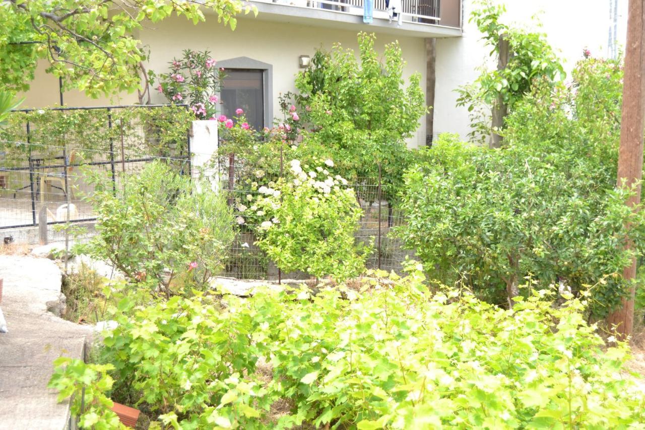 Appartement Lazatka Flat In Capital Chora à Samothráki Extérieur photo